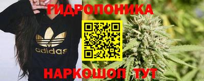 винт Обнинск